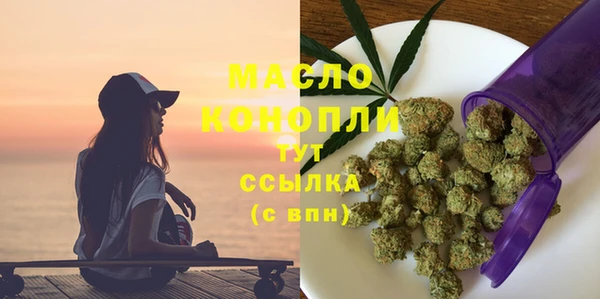 молекула духа Снежногорск