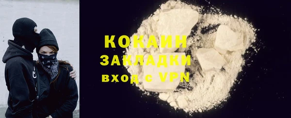 молекула духа Снежногорск