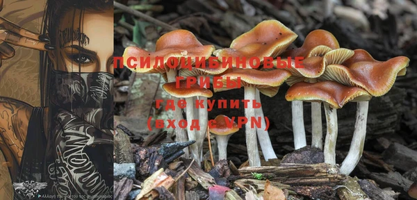 молекула духа Снежногорск