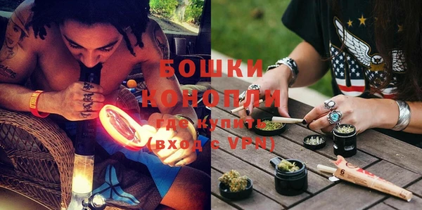 молекула духа Снежногорск