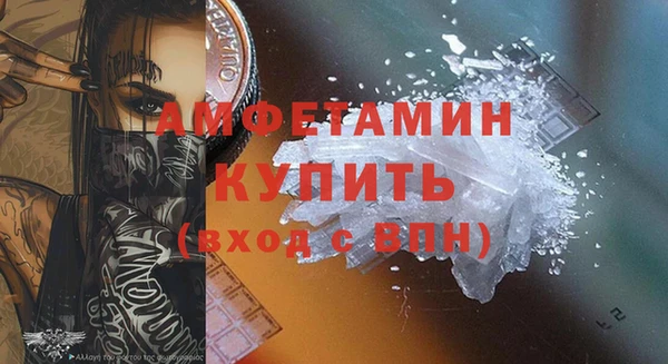 молекула духа Снежногорск