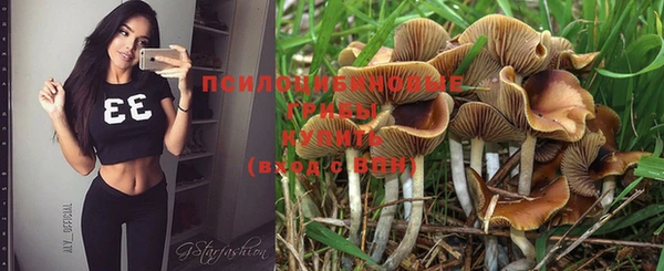 ешки Губаха