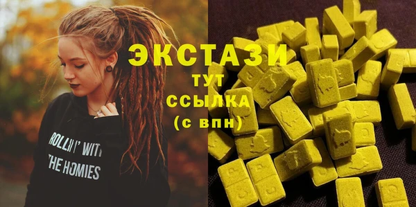 молекула духа Снежногорск