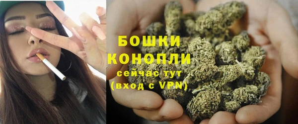 крисы Сосновый Бор