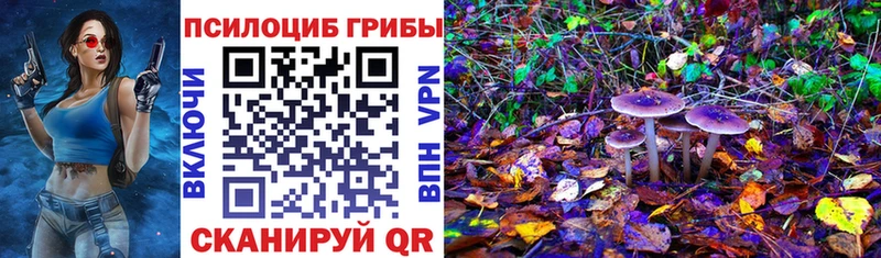 Псилоцибиновые грибы ЛСД  Купить где  Лыткарино 